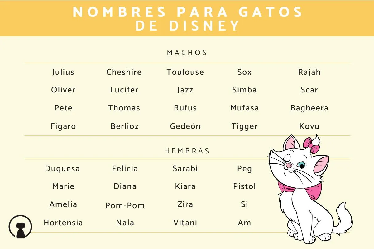 100 Nombres para gatos de Disney - ¡Machos y hembras!