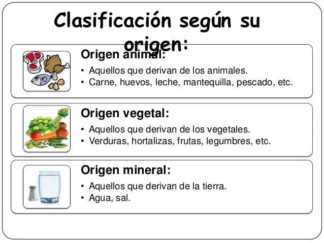 Alimentos segun su origen vegetal y mineral para dibujar - Imagui