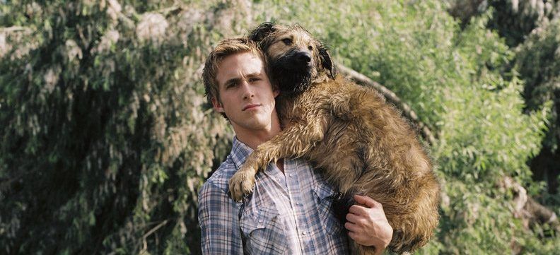 Lo amamos! El tierno homenaje de Ryan Gosling a su perro — FMDOS