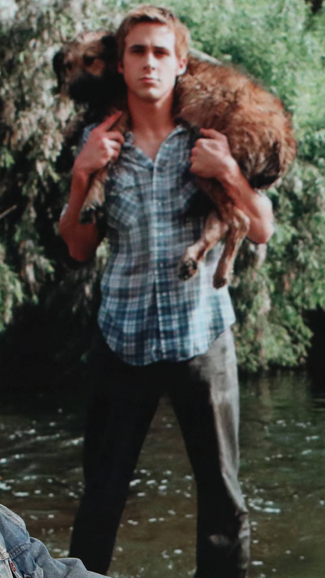 Lo amamos! El tierno homenaje de Ryan Gosling a su perro — FMDOS