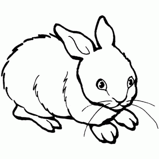 Dibujo de Animales: Conejos para colorear. Dibujos infantiles de ...