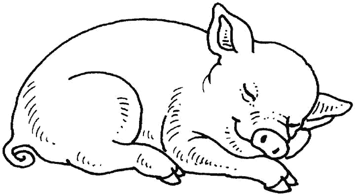 Cerdo caricatura dibujos - Imagui