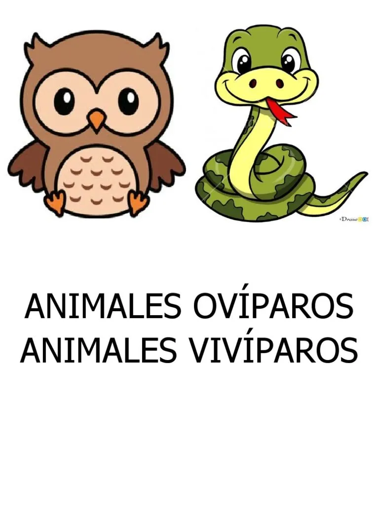 Animales Ovíparos | PDF