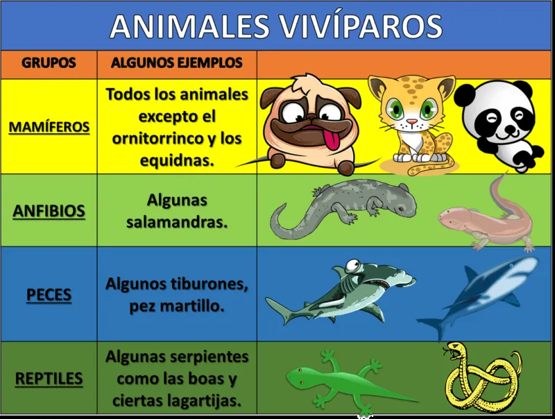 Animales ovíparos y vivíparos - Ciencias Naturales Cuarto de Primaria -  NTE.mx recursos educativos en línea