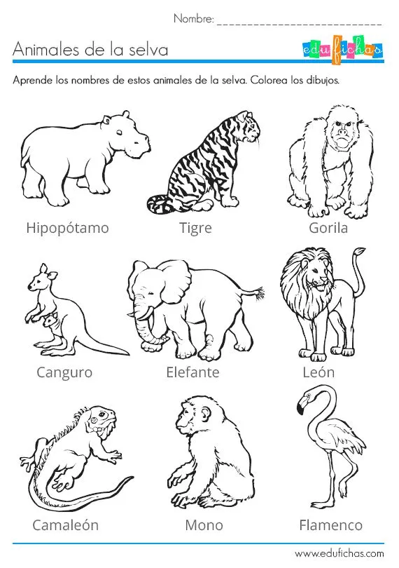 Salvajes on Pinterest | Symmetry Activities, Animales and Jungle ...