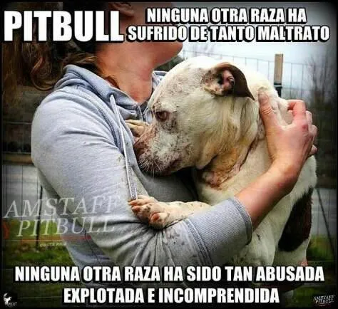 AnimalistasUnidos on Twitter: "PITBULL ninguna otra raza ha ...