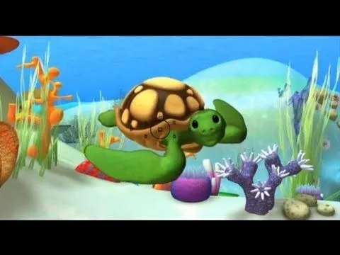 Aprender animales, la Tortuga marina - videos educativos ...