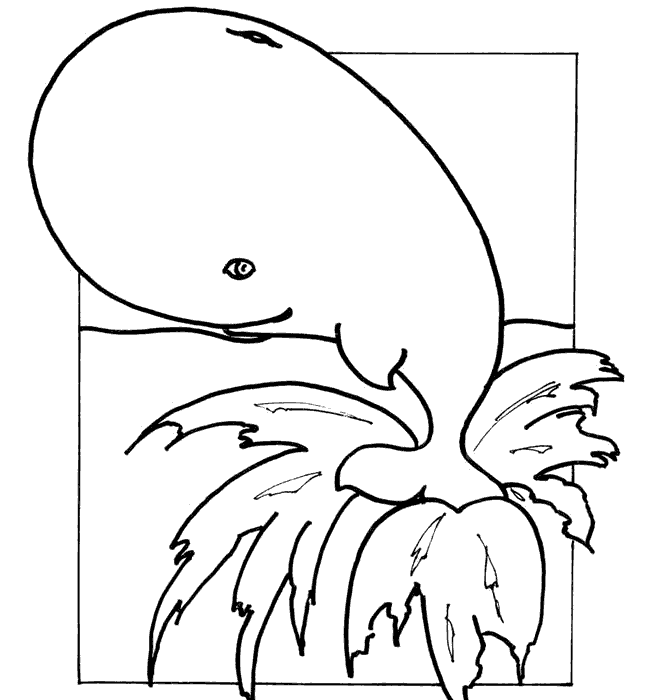 Dibujos de ballenas. Dibujos de ballenas para colorear