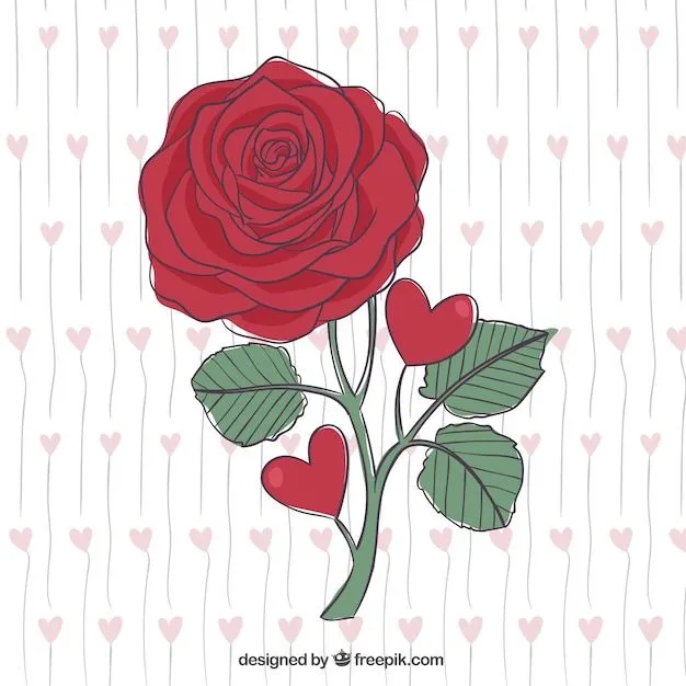 Bella rosa roja dibujada a mano | Descargar Vectores gratis