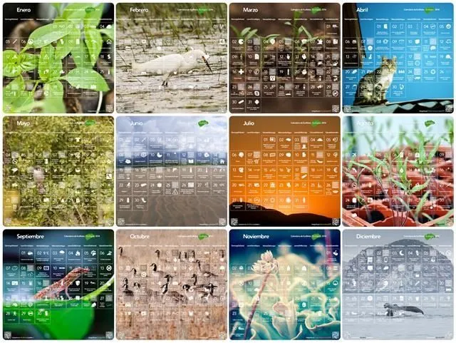 Calendario #EcoRetos 2014 con 365 ideas sostenibles #FlipOver ...