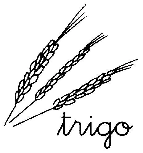Dibujos para colorear espigas de trigo - Imagui