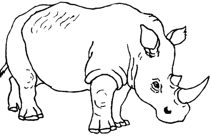 El arte de enseñar: Colorear Rinoceronte