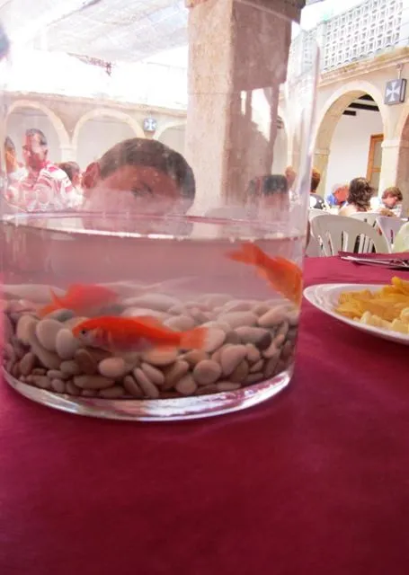 Centros De Mesa Para Bautizo Con Peces Imagui