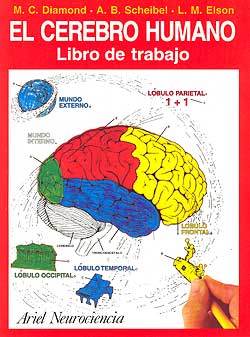 El cerebro humano. Libro de trabajo.