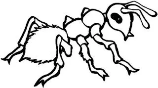 La Chachipedia: Las hormigas