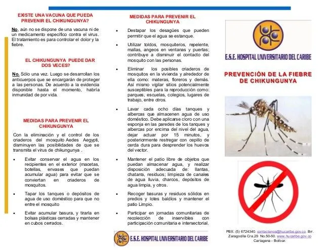 Chikungunya%20 %20 folleto
