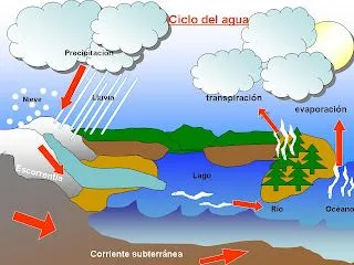 el ciclo del agua tres cuartas partes de la tierra estan cubiertas de ...