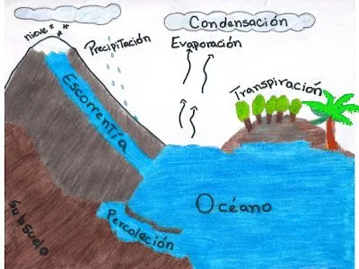 el ciclo del agua es definido como la sucesion de procesos mediante ...