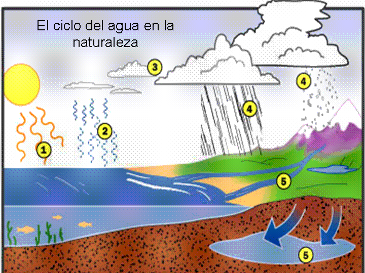 Ciclo del agua explicacion para niños - Imagui