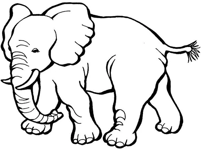 Circus Elephant Coloring Pages | Clipart Panda - Free Clipart Images