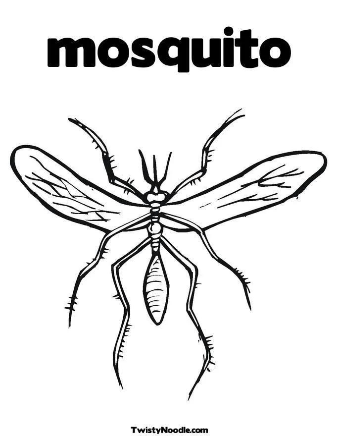 Dengue mosquito dibujo para colorear - Imagui