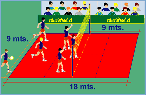 image_volleyball2[1].gif