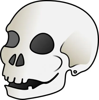 Cráneo Humano Clip Art Descargar 1.000 clip arts (Página 1 ...