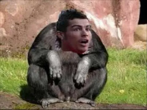 C.Ronaldo Fotos graciosas - YouTube