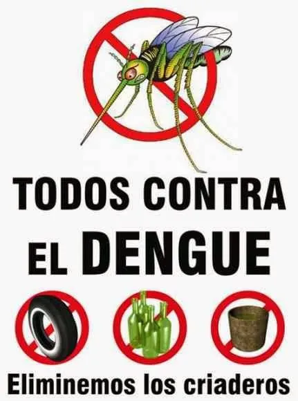 Como prevenir el dengue? | Venezuela | hazturismo.