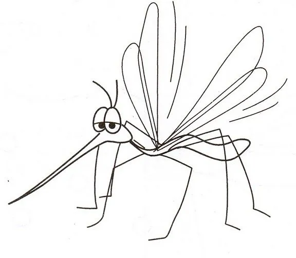 Pinto Dibujos: Mosquito del dengue para colorear