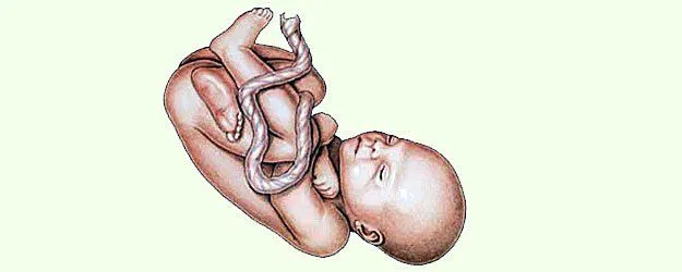 Desarrollo del bebé en el octavo mes del embarazo