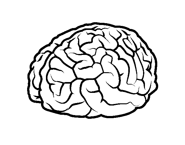 Desenho de Cérebro para Colorir - Colorir.com