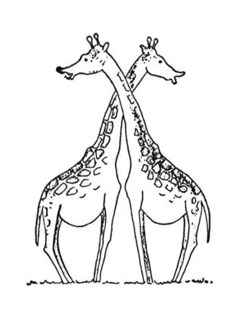Desenhos girafas para imprimir e pintar | desenhos para colorir xd