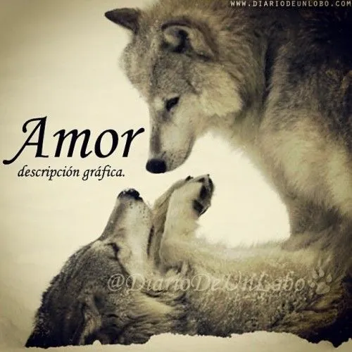 Diario de un Lobo — Amor… #DiarioDeUnLobo #Love #Feelings #Quote...