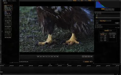 Diario con RED ONE: Aparece Nuevo REDCINE-X 221 Diario con RED ONE: Aparece Nuevo REDCINE-X 221