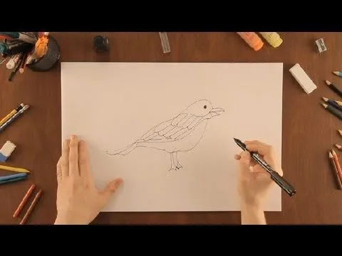 Cómo dibujar un pájaro : Dibujos de la Naturaleza - YouTube