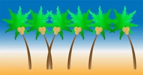 Cómo dibujar una palmera en Illustrator CS4