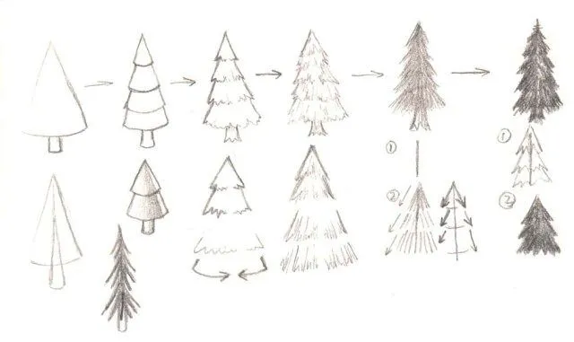 Dibujar pino - Imagui