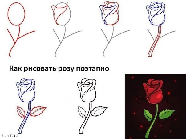 Como dibujar una rosa paso a paso - Imagui