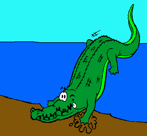 Dibujo de Aligátor entrando al agua pintado por Yacare en Dibujos ...