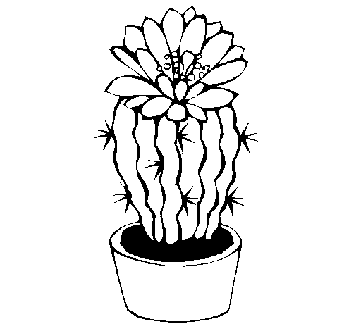 Dibujo de Cactus con flor para Colorear - Dibujos.net
