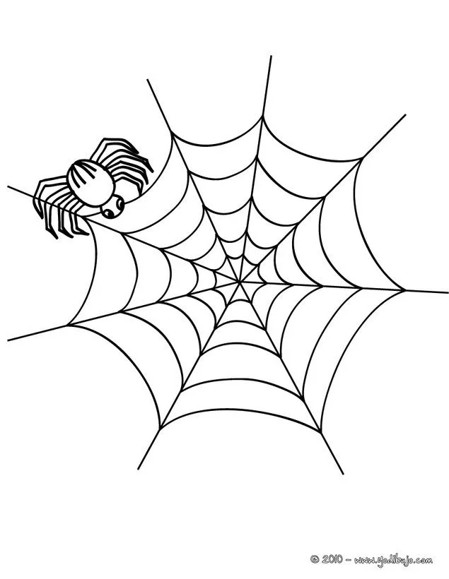 Dibujo para colorear araña fabricando su telaraña para halloween | Telarañas  dibujo, Telaraña, Halloween para colorear