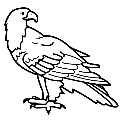 Dibujo de un condor para pintar - Imagui