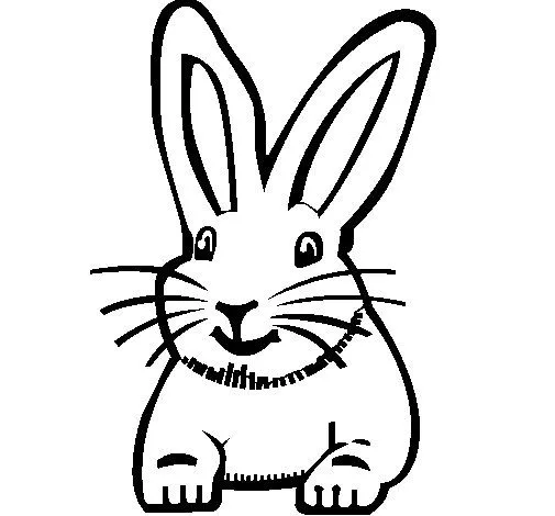 Dibujo de Conejo para Colorear - Dibujos.net