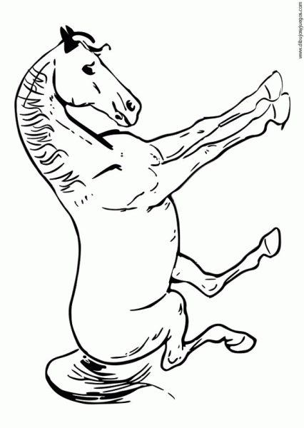dibujo-de-caballo-062 | Dibujos y juegos, para pintar y colorear