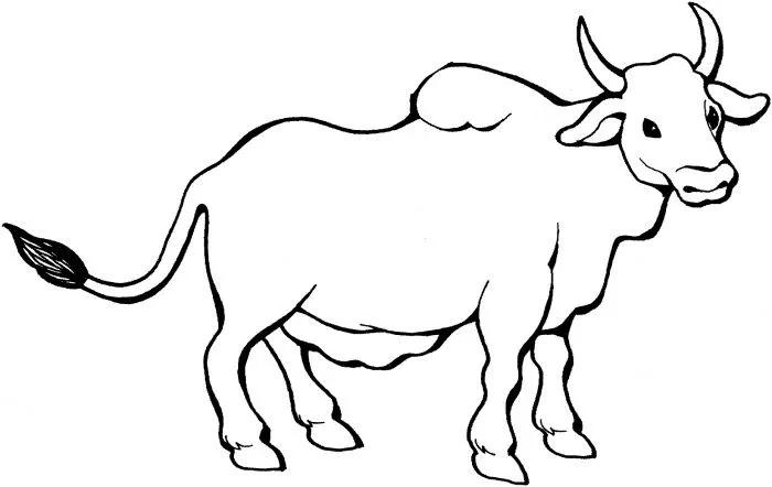 Dibujos de toros graciosas para colorear - Imagui