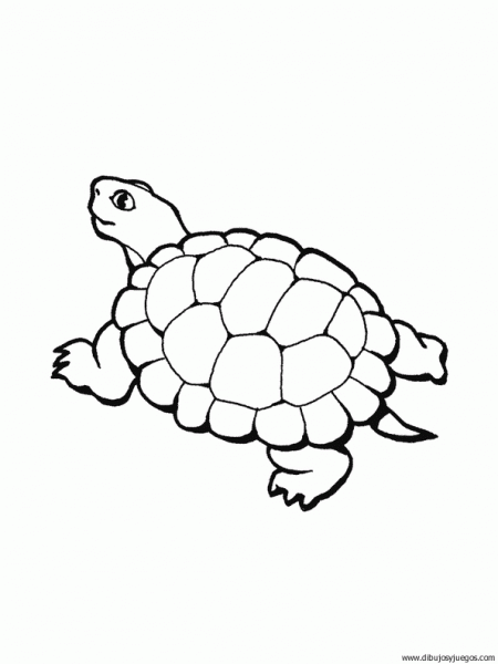 dibujo-de-tortuga-052 | Dibujos y juegos, para pintar y colorear