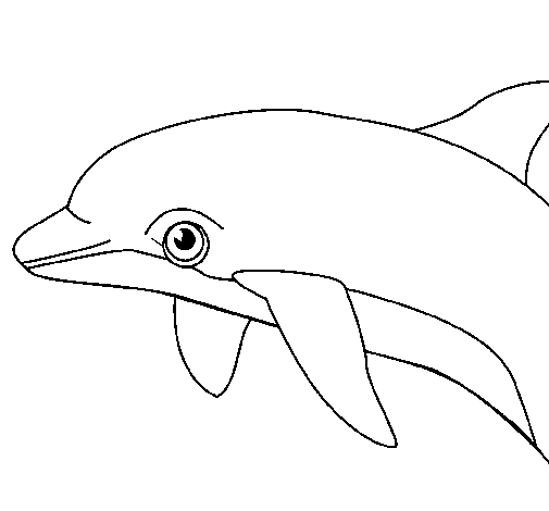 Dibujo de Delfín para Colorear - Dibujos.net