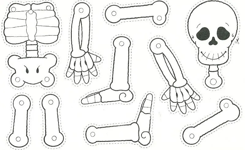 Dibujo del esqueleto humano para armar - Imagui