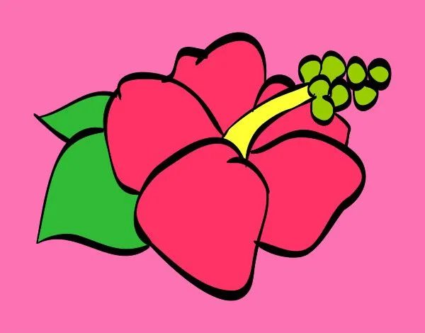 Dibujo de flor hawaiana pintado por Ladylazo en Dibujos.net el día ...